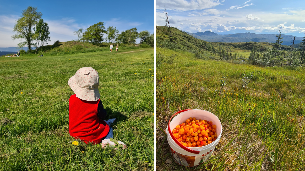 barn og multer i gr&oslash;nn eng